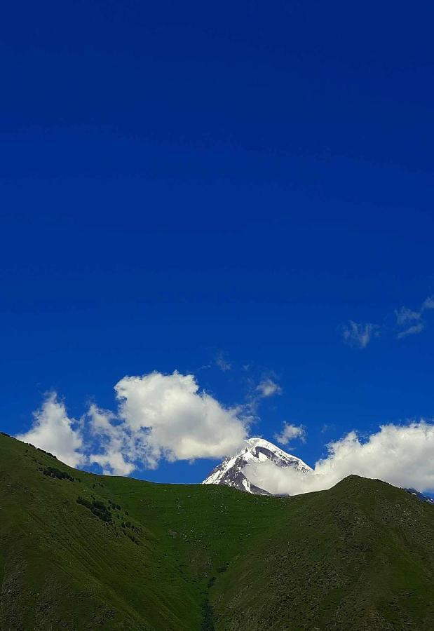 Trip Zone Kazbegi Διαμέρισμα Εξωτερικό φωτογραφία