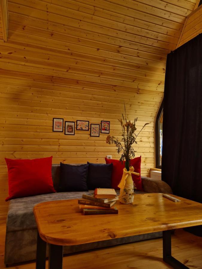 Trip Zone Kazbegi Διαμέρισμα Εξωτερικό φωτογραφία